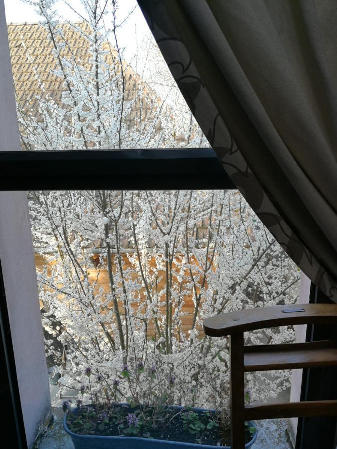 Saint-Parres-aux-Tertres Un Verger Dans La Ville المظهر الخارجي الصورة